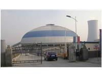 中电投大连甘井子电厂储煤仓穹顶